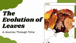 Evolution of Leaves A Journey Through Time