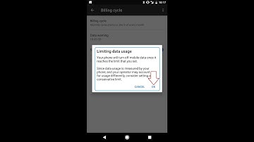 How To Set Up Mobile Data Usage Warning and Limit On Google Pixel Phone (Android Phone)