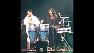 Famous Sheila E and Prince playing drums together. Profile