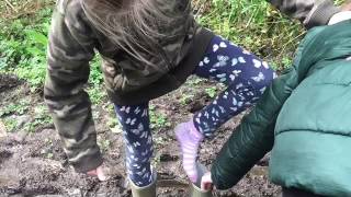 Otterhead Lakes Woodland Walk