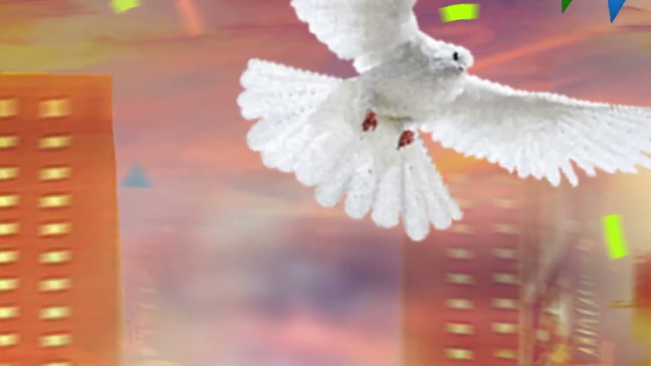 Maari 2 motion poster