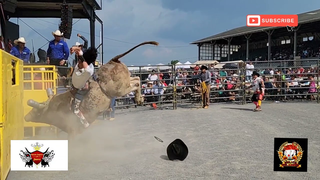 Jaripeo a Otro Nivel..... Los Toros Furiosos del Rancho Imperio Juarez