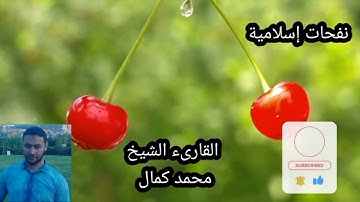 سورة ( يس) للشيخ محمد كمال