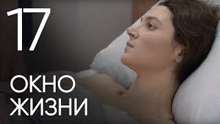 Окно жизни. Серия 17. Baby Boxes. Episode 17.