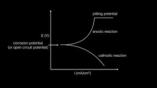 Potentiodynamic Corrosion Testing Protocol (step by step)