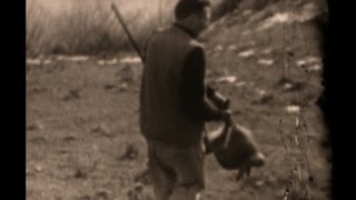 CACCIANDO... caccia alla coturnice 1960 (hunting rock pardige) (Κυνηγι πέρδικας με σεττερ)