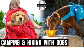 Best Equipment for Hiking and Camping with Your Dog (Innovative Canine Gadgets)