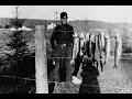 The algonquin ensemble  trout