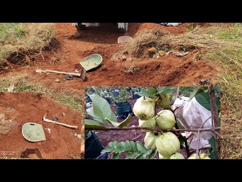 CARI TANAH MERAH WAKTU DI BULAN PUASA GAYS - YouTube