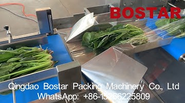 Herb Leaf Vegetable Fruit Fresh Horizontal Flow Wrap/Packing/Pack/Packaging/Sealing/Wrapping Machine