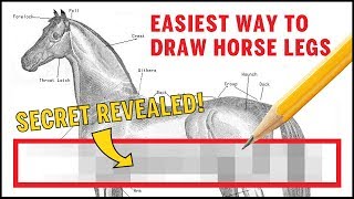 How to draw horse legs EASY - Secret REVEALED!