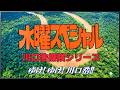 ゆけ!ゆけ!川口浩!! / 嘉門達夫