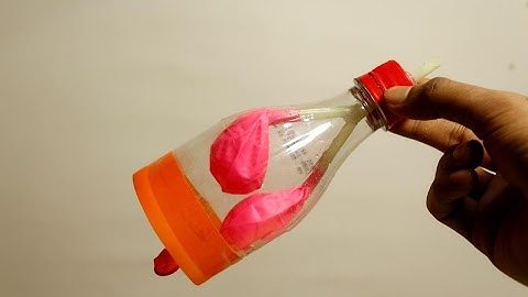 🫁 DIY Lungs Model – Fun Balloon Science Experiment! 🔬