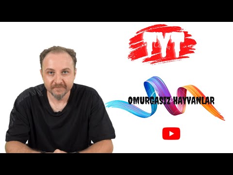 2024 TYT Biyoloji Omurgasız Hayvanlar