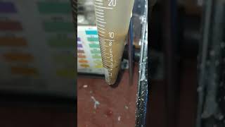 DIY Biofloc Day 3