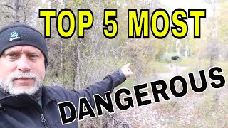 TOP 5 MOST DANGEROUS ANIMALS that you need to be aware of while HIKING !!!