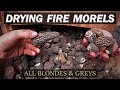 Drying Premium Fire Morels in the Bush