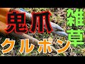 【決定版】雑草抜き 鬼の爪クルポン ｜ フジ鋼業