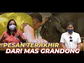 MENGUAK ISI HATI GRANDONG OLEH ANIMAL COMMUNICATOR