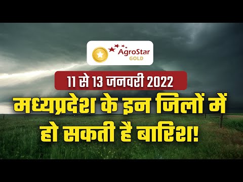 एग्रोस्टार मौसम पूर्वानुमान 11 से 13 जनवरी 2022 Madhya Pradesh Weather Update - एग्रोस्टार मौसम पूर्वानुमान 11 से 13 जनवरी 2022 Madhya Pradesh Weather Update