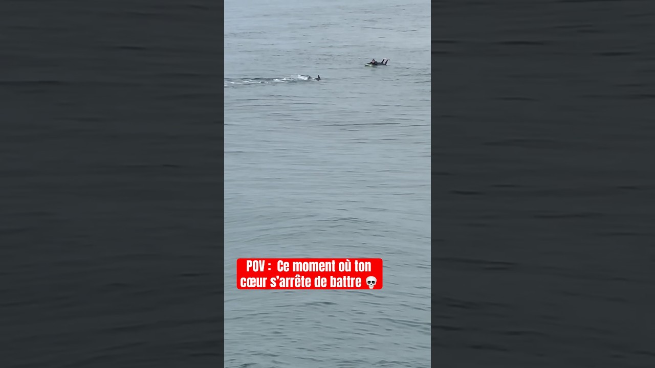 FLIPPANT 😵‍💫💀 