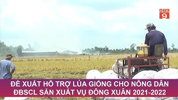 ĐỀ XUẤT HỖ TRỢ LÚA GIỐNG CHO NÔNG DÂN ĐBSCL SẢN XUẤT VỤ ĐÔNG XUÂN 2021-2022 | VTC9