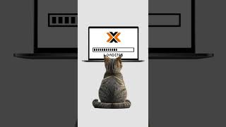 Proxmox, explained by cats. #cat #code #opensource #series #proxmox
