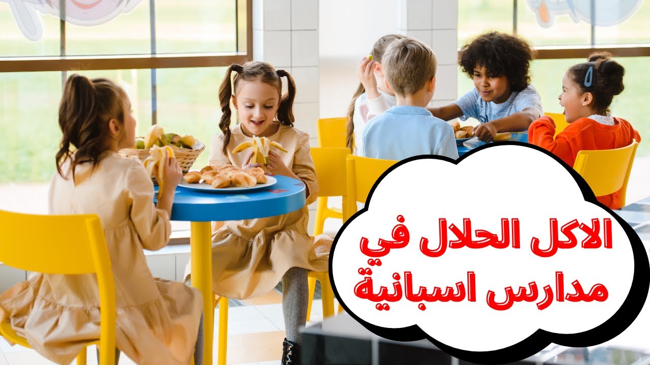 معلومات لا يخبرونك بها عن الاكل المدرسي في اسبانيا🫣