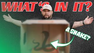 WOLVYN: WHAT'S IN THE BOX...LUXURY WATCH EDITION (S2:E12)