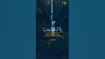 القارئ/ أنور الشرعبي.