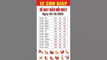 Con số may mắn ngày 04-10-2023 cho 12 con giáp #consomayman  #tuvitailoc #sansodepmoingay #trending