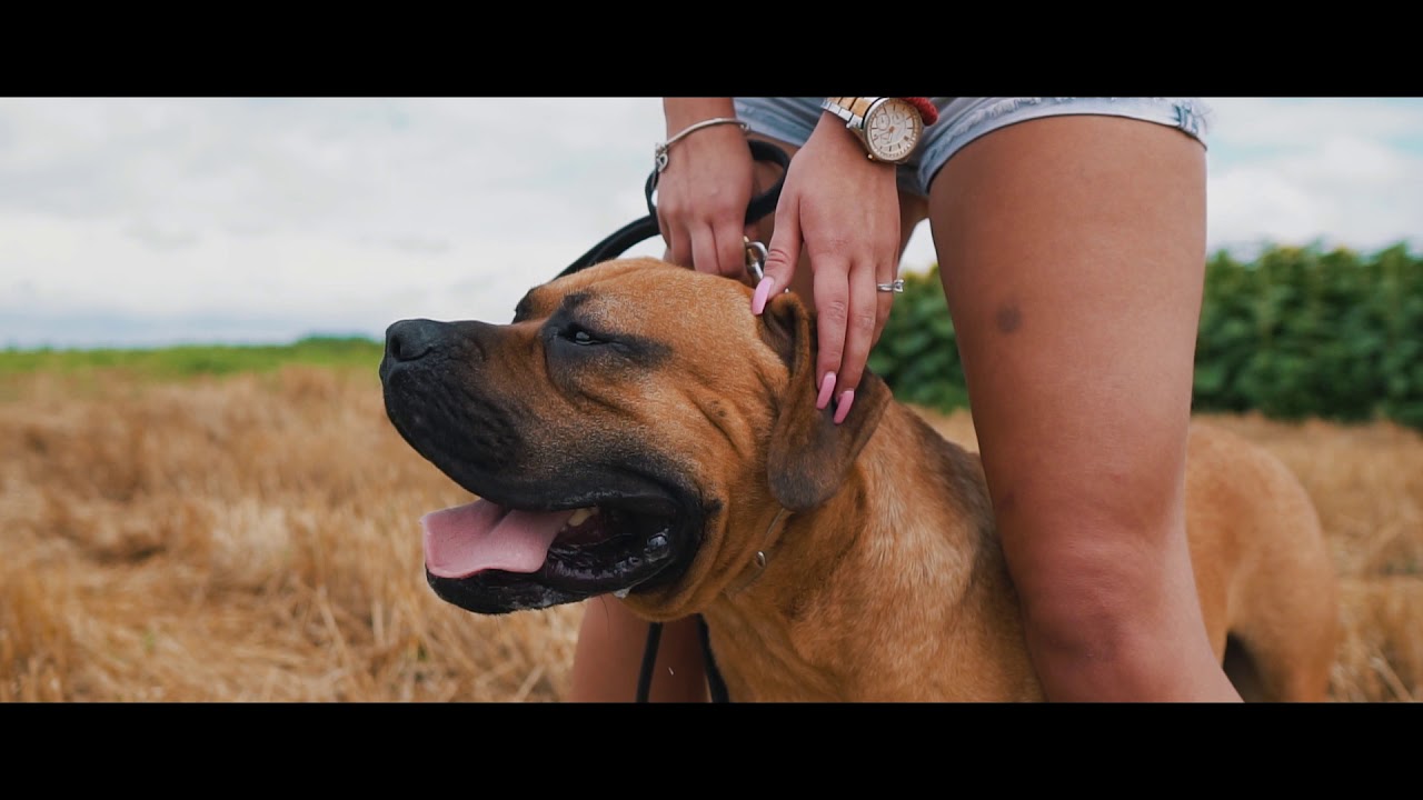 ULTIMATE SELECTION NEW VIDEO PRESA CANARIO