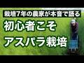 【アスパラガス栽培】栽培初心者から7年｜やって良かったこと／うまくいかなかったこと