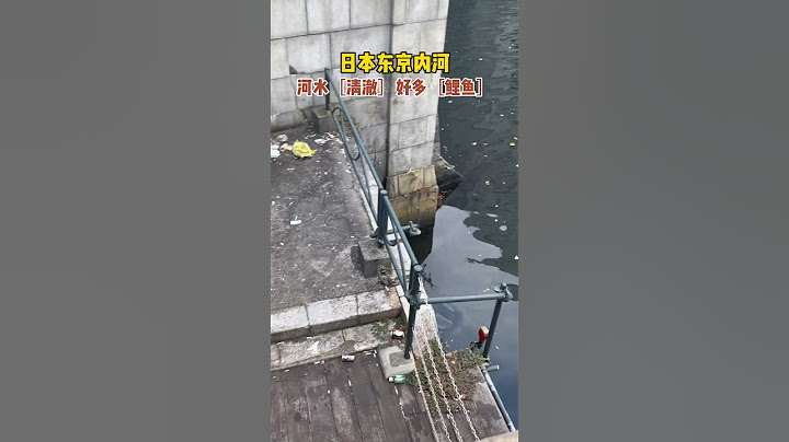 Japan is really good, the river water is [clear] and there are many [carps]!