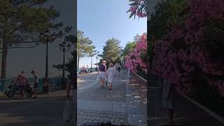 Ялта жилье купить квартиру 😣 Программист