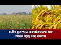 হু*ম*কি*র মুখে পড়ছে আগামীর প্রজন্ম এবং আশঙ্কা বাড়ছে খাদ্য সংকটের।