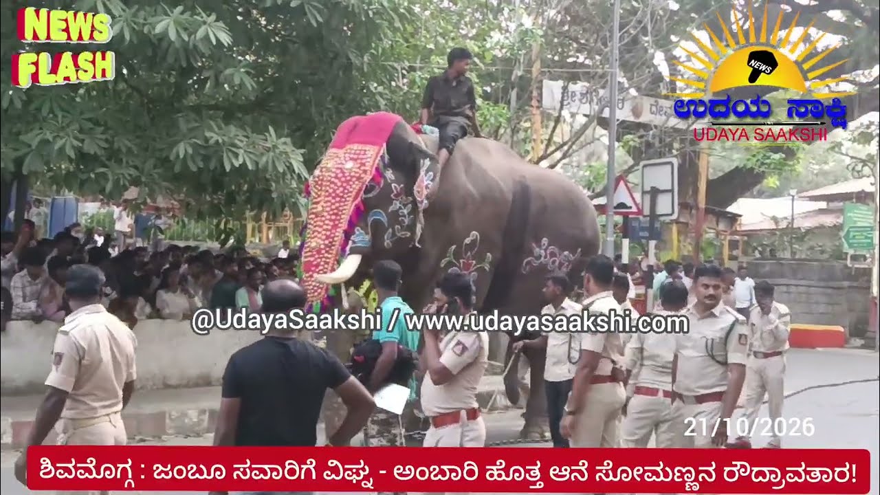 Shimoga dasara news | ಶಿವಮೊಗ್ಗ ದಸರಾ | ಅಂಬಾರಿ ಹೊತ್ತ ಸೋಮಣ್ಣ ಆನೆಯ ರೌದ್ರಾವತಾರ! #shimoga #shivamogga