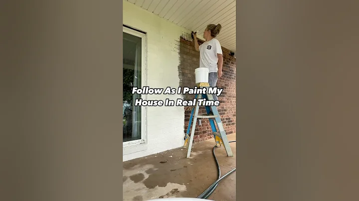 Painting Brick: Romabio Lime Slurry #paintedbrick #limeslurry #diy #romabio