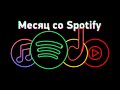 Spotify vs Apple Music vs Яндекс.Музыка vs YouTube Music — что выбрать?