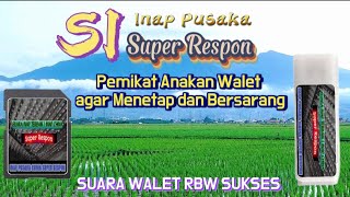 INAP PUSAKA SUPER RESPON| PEMIKAT ANAKAN WALET MENGINAP DAN BERSARANG SUARA WALET RBW SUKSES