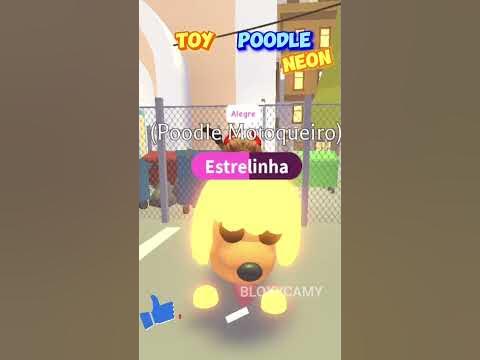 🔥NEON TOY POODLE ADOPT ME! #robloxedit #adoptme - YouTube