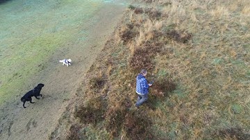 Parrot Anafi "Follow Me" test