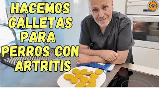 RECETA DE GALLETAS PARA PERROS CON PROBLEMAS ARTICULARES