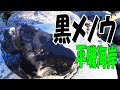 黒メノウがいっぱい‼【茨城県 ひたちなか市･平磯海岸】漆黒のブラックカルセドニー発見！