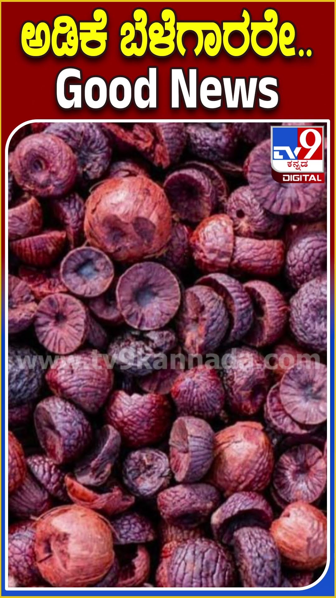 ಅಡಿಕೆ ಬೆಳೆಗಾರರೇ.. Good News #Areca #Tv9D