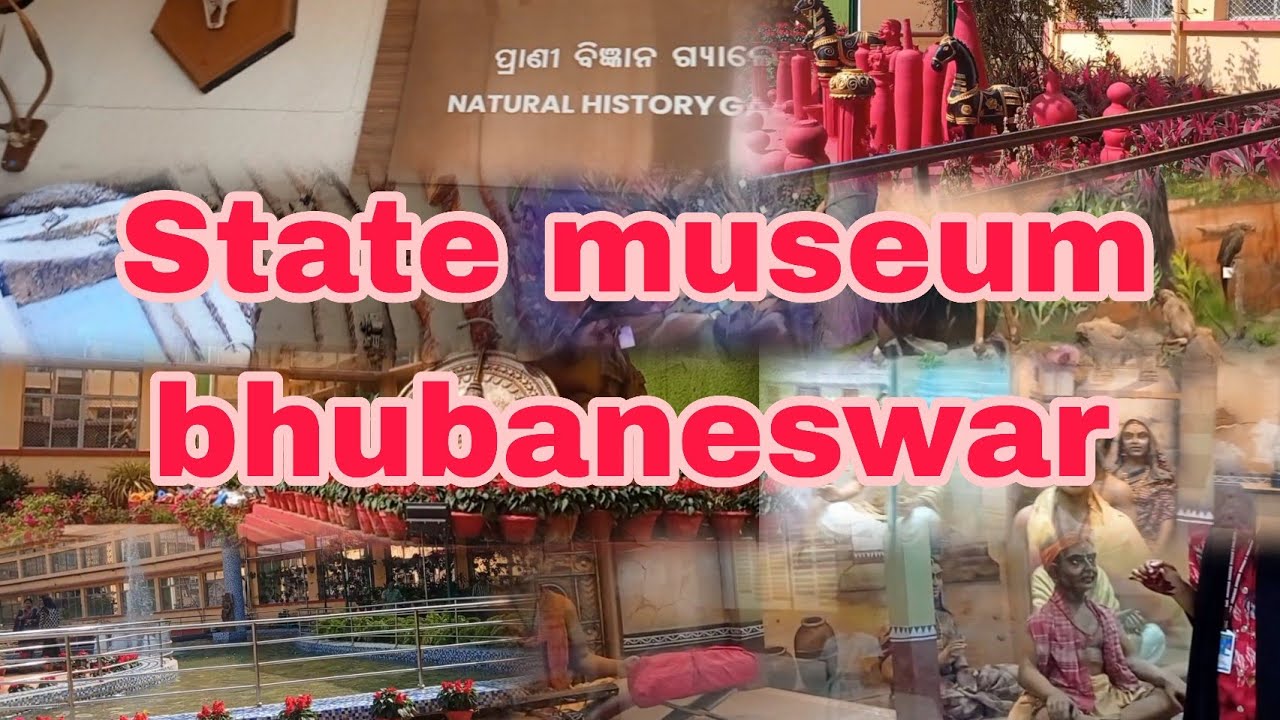 State museum Bhubaneswar odisha