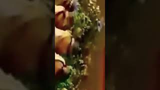 Mcdonalds 1980 Commercial