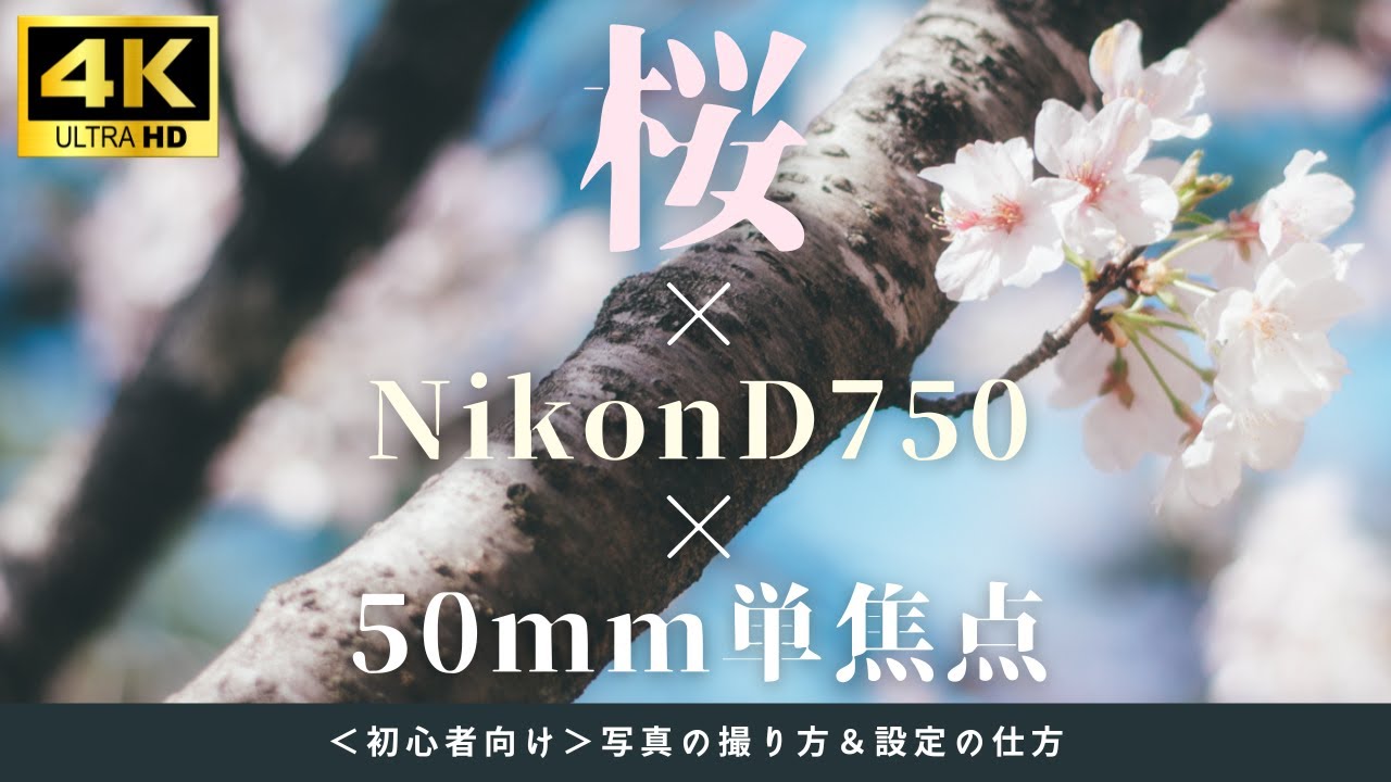 久しぶりにNikon D750を使って撮影したらやっぱり良いカメラだっ