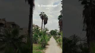 شارع فريد سميكة وميدان الحجاز وبعض شوارع مصر الجديدة فى فيديو سريع قبل وأثناء التغيير - ديسمبر 2019