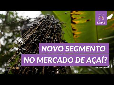 SPECIALTY AÇAÍ? Trip to the Amazon changes the lives of entrepreneurs from Rio Grande do Sul | In...